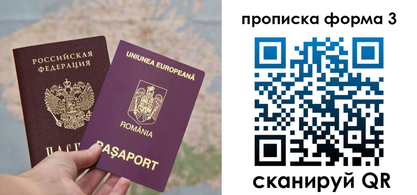 временная регистрация недорого в Лыткарино